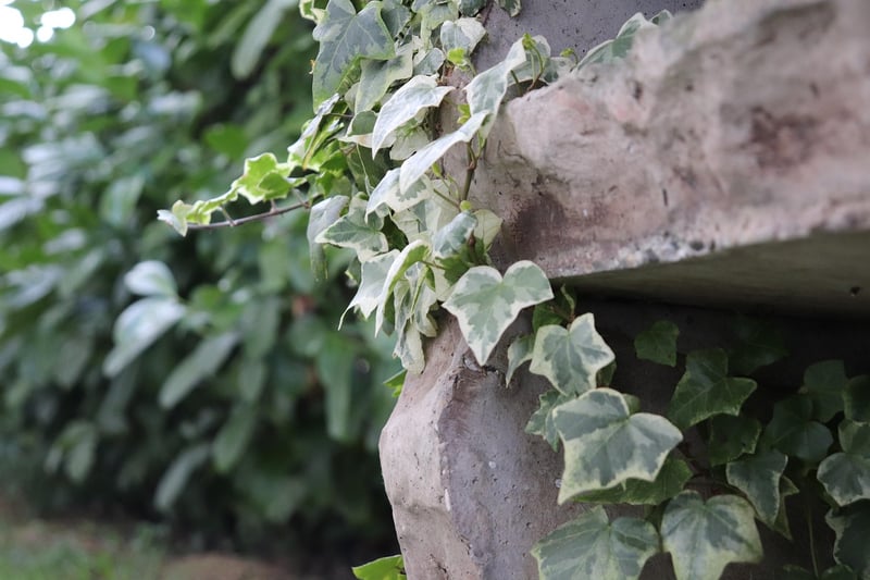 Vertical Wall Gardens